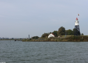Kees 181